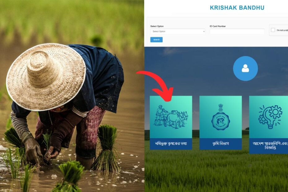 Krishak Bandhu status check process