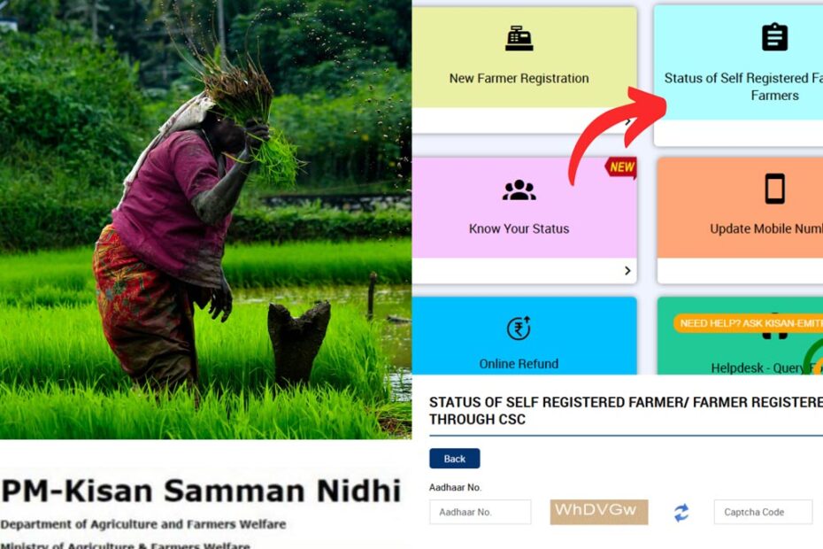 PM Kisan Application Status Check