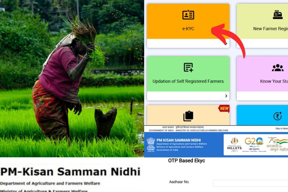 PM Kisan eKYC process