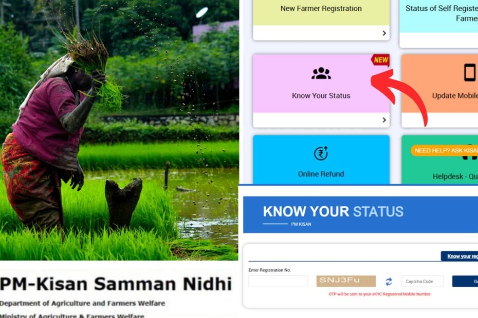 PM kisan status check process