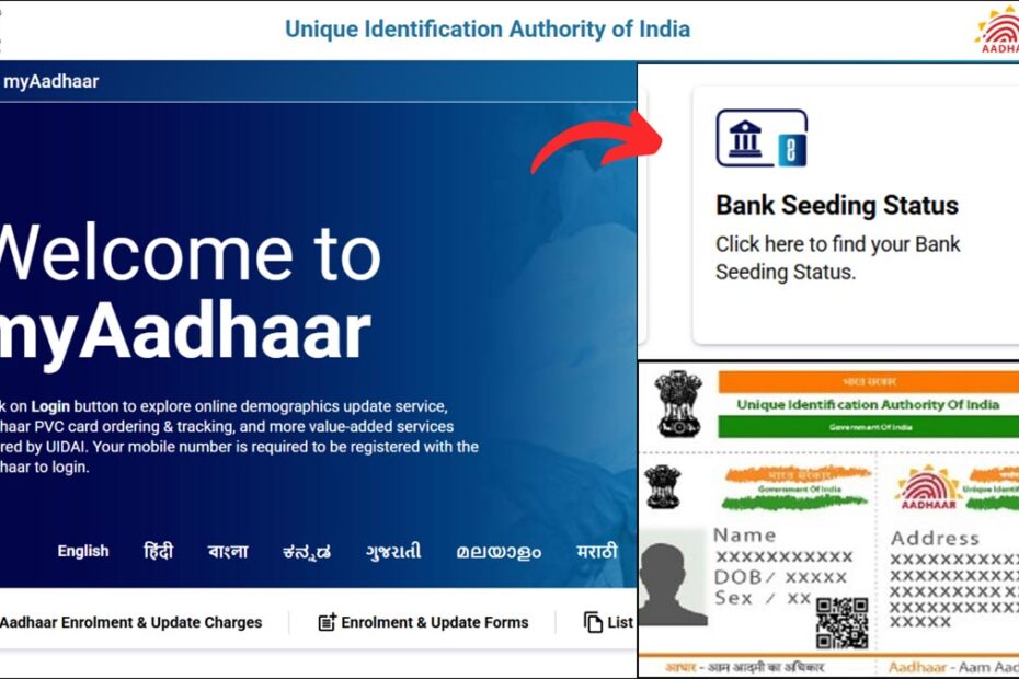 Aadhaar Bank seeding status check process