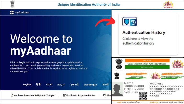 Aadhaar authentication history checking process