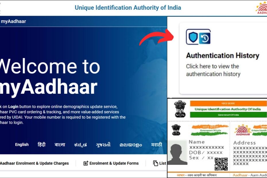 Aadhaar authentication history checking process