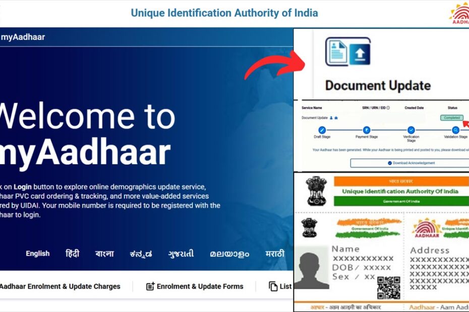 Aadhaar document update status check process