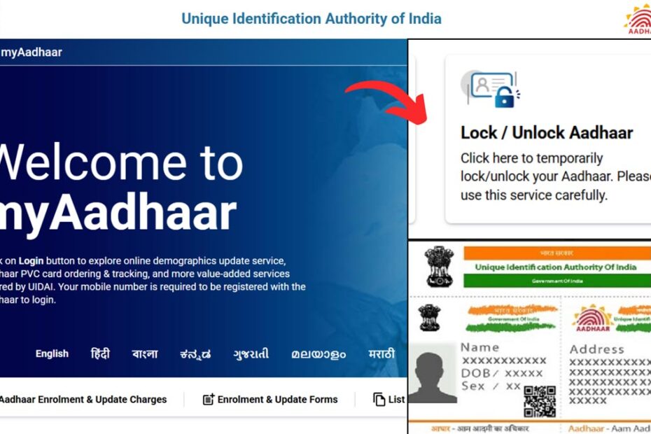 Lock unlock Aadhaar number process