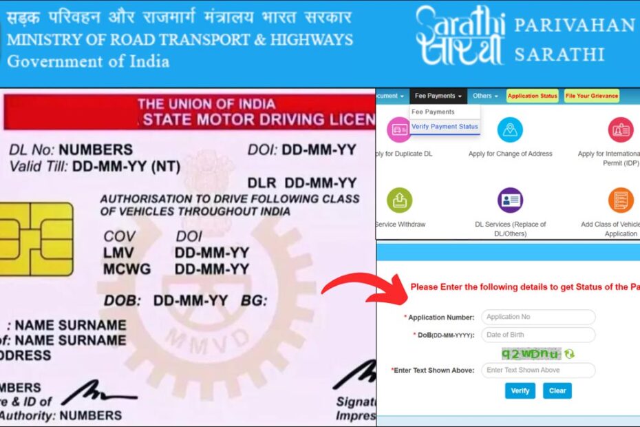 DL Payment status check process