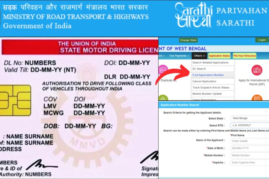 DL application number search process