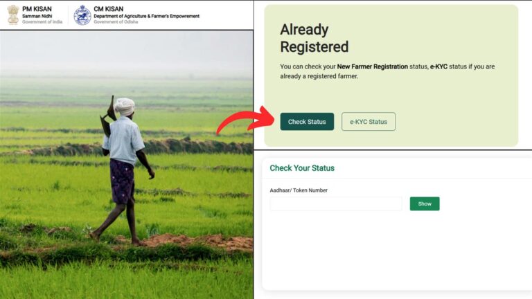 Odisha CM Kisan check status process