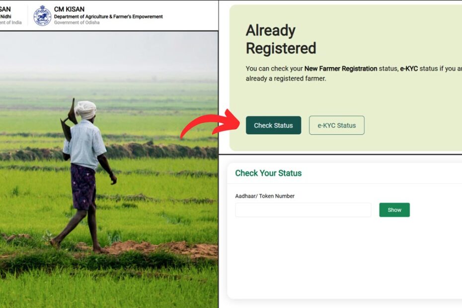 Odisha CM Kisan check status process