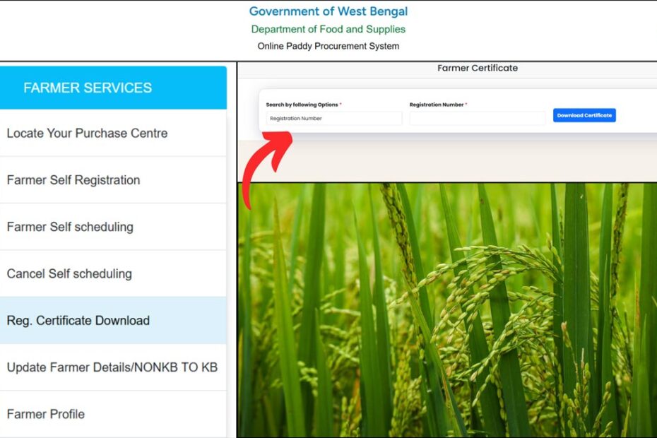 e paddy reg certificate download process
