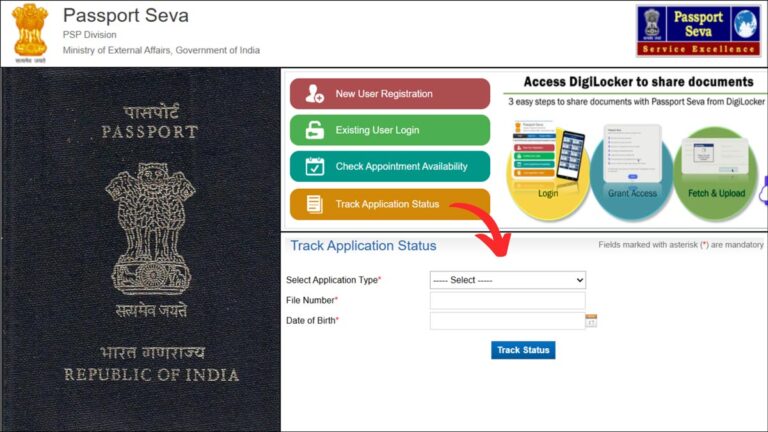 Passport application status check process