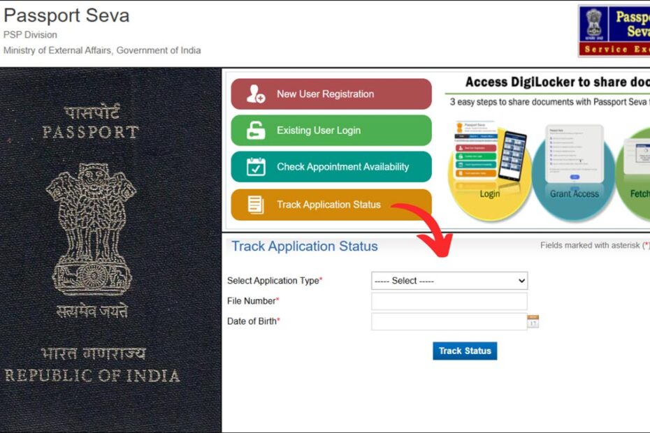Passport application status check process