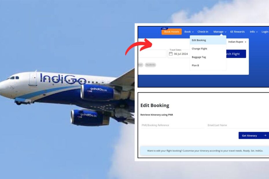 indigo flight ticket download process